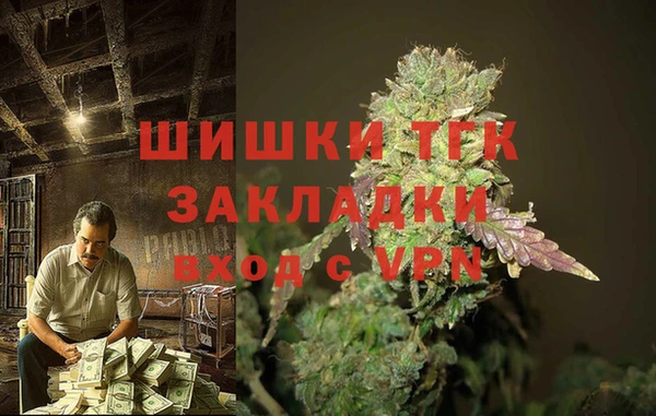 МДПВ Михайлов