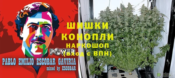 МДПВ Михайлов
