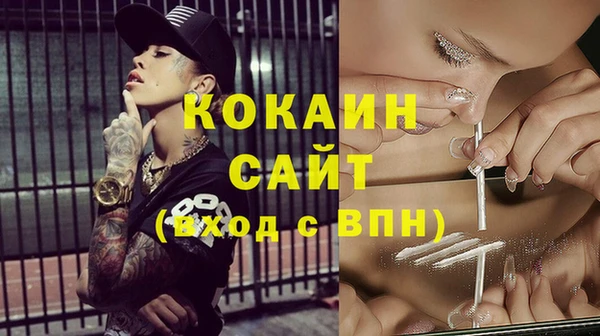 МДПВ Михайлов