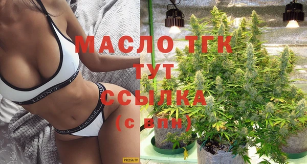 МДПВ Михайлов
