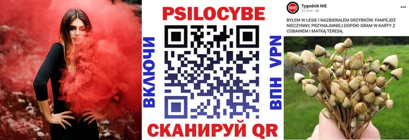 как найти закладки  Ачхой-Мартан  Псилоцибиновые грибы мицелий 
