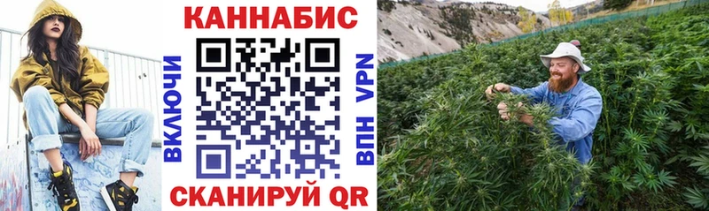 Каннабис OG Kush  Ачхой-Мартан 